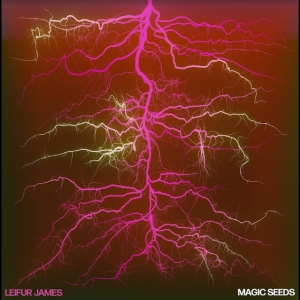Leifur James - Magic Seeds