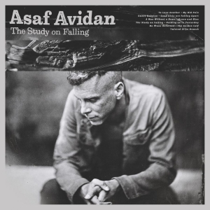 Avidan Asaf - The Study On Falling