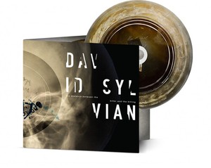 Sylvian David - Distance Between The Killer And The