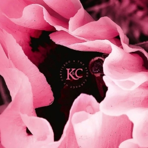 Kolman & Calvert - The Pink Carnage Of Cartilago