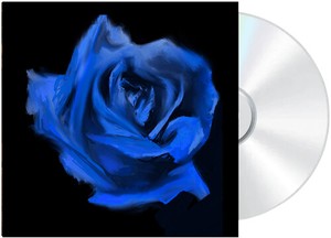 Current Joys - Rosebud