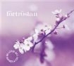 Capital - Days & Nights Of Love & War i gruppen Annet /  hos Bengans Skivbutik AB (579801)