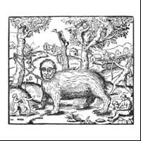 Envelopes - Demon i gruppen Annet /  hos Bengans Skivbutik AB (612053)