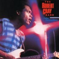 Robert Cray - False Accusations i gruppen Annet /  hos Bengans Skivbutik AB (614698)