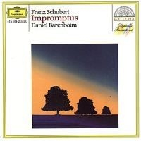 Schubert - Impromptus D 935 & D 899 i gruppen CD hos Bengans Skivbutik AB (619262)
