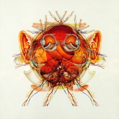 Senser - Schematic