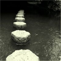 Phelan Sheppard - Harps Old Master