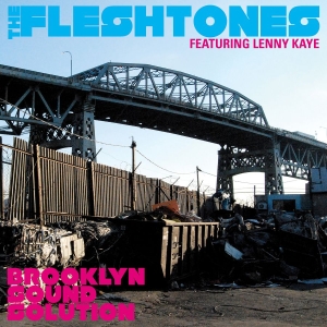Fleshtones The - Brooklyn Sound Solution