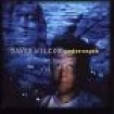 Wilcox David - Underneath i gruppen CD / Country hos Bengans Skivbutik AB (688187)