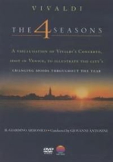 Il Giardino Armonico - Vivaldi : The Four Seasons Dvd i gruppen Musikkk-DVD & Bluray hos Bengans Skivbutik AB (883717)