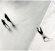 Tossani G. - Synapser - Beauty Is A Rare Thing Tossani G. - Synapser - Beauty Is A Rare Thing