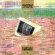 Nanette Shirley - Never Coming Back Nanette Shirley - Never Coming Back