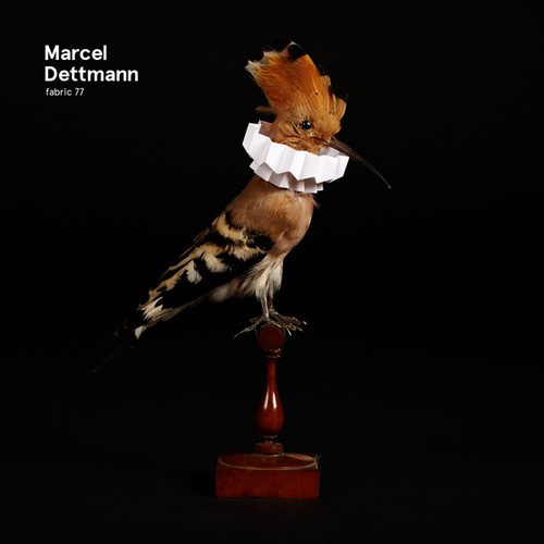 Dettmann Marcel - Fabric 77
