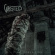 Wasted - Final Convulsion (Red Vinyl) Wasted - Final Convulsion (Red Vinyl)