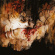Shining - Ix - Everyone, Everything, Everywhe Shining - Ix - Everyone, Everything, Everywhe