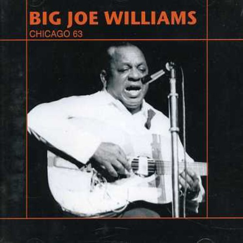 Big Joe Williams - Live Chicago '63