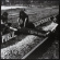 Public Nuisance - Gotta Survive Public Nuisance - Gotta Survive
