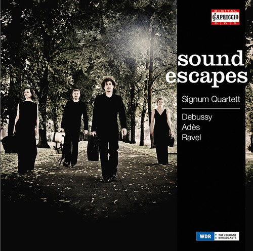 Various Composers - Soundescapes