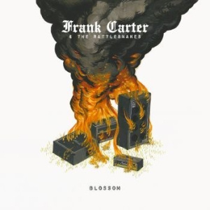 Carter Frank And The Rattlesnakes - Blossom