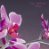 Blandade Artister - Pop Ambient 2016 (Inkl.Cd) Blandade Artister - Pop Ambient 2016 (Inkl.Cd)