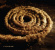 Coil / Nine Inch Nails - Recoiled Coil / Nine Inch Nails - Recoiled