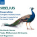 Sibelius - Swanwhite (Svanevit) Sibelius - Swanwhite (Svanevit)