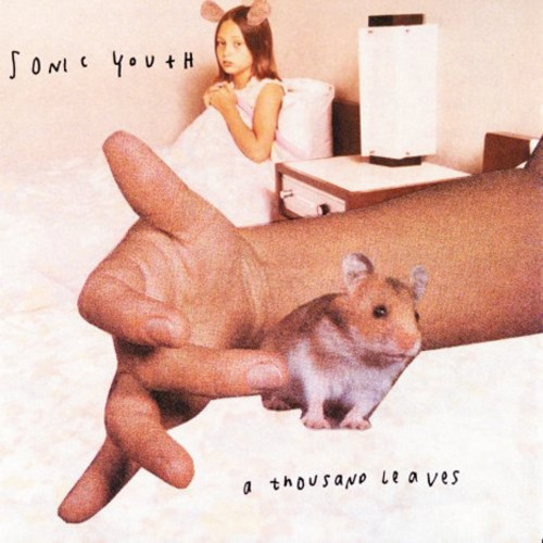 Sonic Youth - Thousand Leaves (2Lp)
