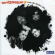 Sting-Rays - From The Kitchen Sink Sting-Rays - From The Kitchen Sink