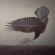Katatonia - Fall Of Hearts The (2 Lp) Katatonia - Fall Of Hearts The (2 Lp)