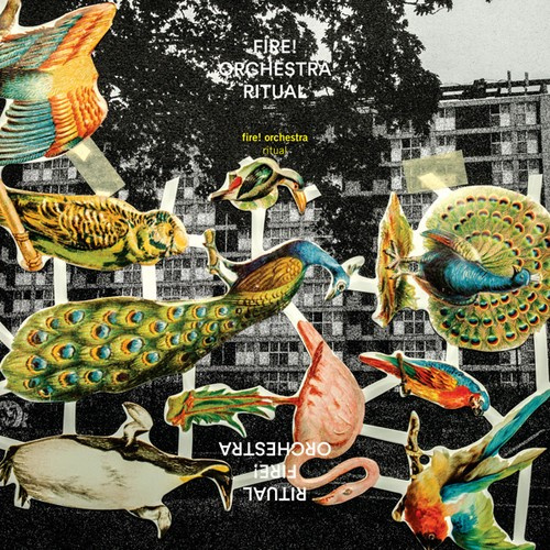 Fire! Orchestra - Ritual (Inkl.Cd)