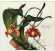 Botanist - Vi: Flora Botanist - Vi: Flora