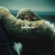 Beyoncé - Lemonade Beyoncé - Lemonade