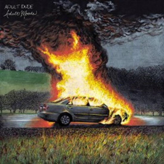 Adult Dude - Adult Moods