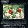 Various - Classical Piano Music Various - Classical Piano Music