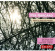 Norgard Per - Works For Harp And Ensemble Norgard Per - Works For Harp And Ensemble
