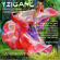 Various - Tzigane Various - Tzigane