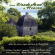 Cookjames - From Wonderland To Heaven Cookjames - From Wonderland To Heaven
