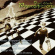 Various - Premonitions Various - Premonitions