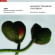 Various/ Juul Sorensen Jesper - Romantic Trombone Concertos Various/ Juul Sorensen Jesper - Romantic Trombone Concertos