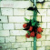 Pineapple Thief The - Variations On A Dream Pineapple Thief The - Variations On A Dream