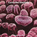 Controlled Bleeding - Body Samples (Purple Vinyl) Controlled Bleeding - Body Samples (Purple Vinyl)