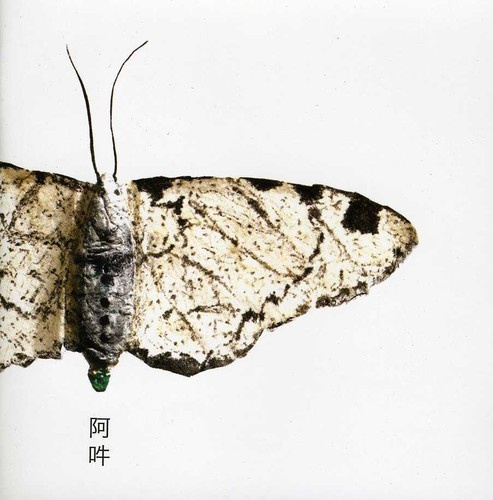 Fennesz Christian - Aun: The Beginning And The