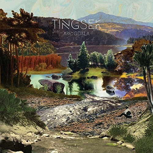 Tingsek - Amygdala (Vinyl)