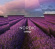 Nordic - Collage Nordic - Collage