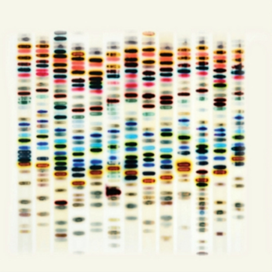 St 37 - I'm Not Good