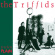 Triffids - Treeless Plain Triffids - Treeless Plain