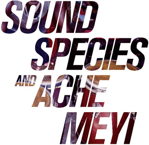 Soundspecies And Ache Meyi - Soundspecies And Ache Meyi