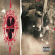 Cypress Hill - Cypress Hill Cypress Hill - Cypress Hill
