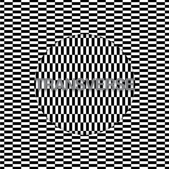 Carter Tutti Void - Transverse