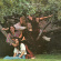 The Incredible String Band - Changing Horses The Incredible String Band - Changing Horses
